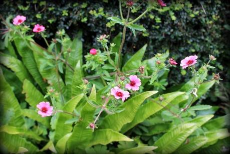 Le temps des Vacances...