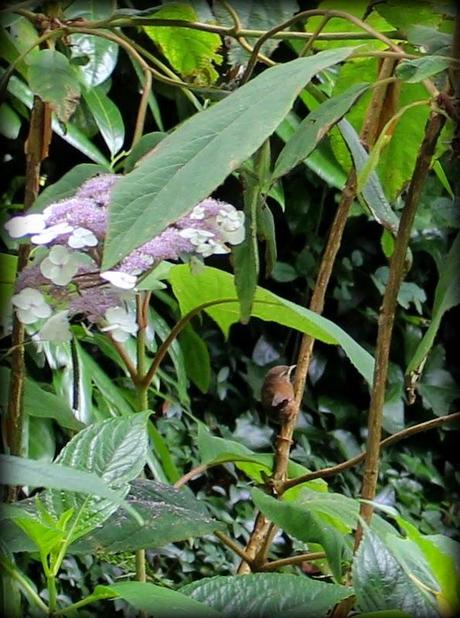 Le temps des Vacances...