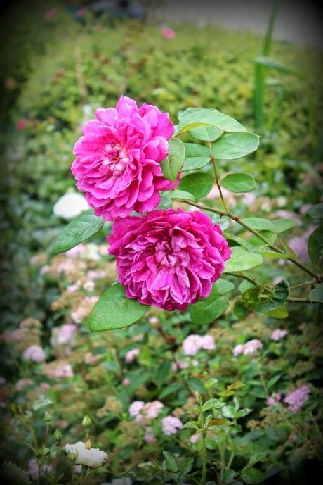 Le temps des Vacances...