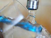 Royal s'attelle chantier l'eau