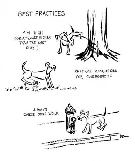 best-practices-dog-comic
