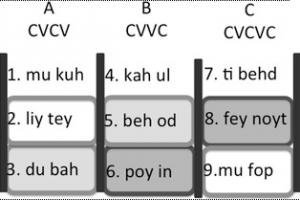 APPRENTISSAGE des LANGUES: La fenêtre de prédisposition se ferme à l'adolescence – PLoS ONE