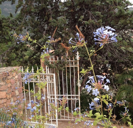 Vacances ...à suivre