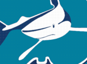 L’association PRETOMA lutte contre pêche ailerons requin