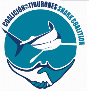 shark coalition 296x300 Lassociation PRETOMA lutte contre la pêche aux ailerons de requin