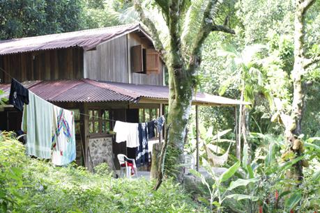 Brasil #2 Ilha Grande