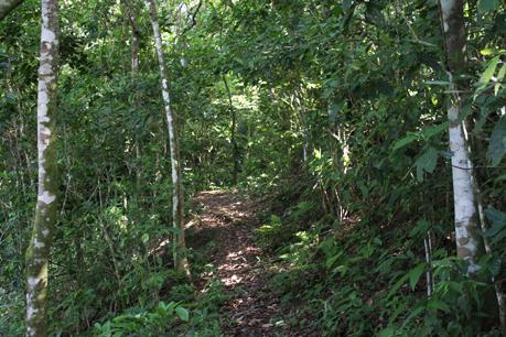 Brasil #2 Ilha Grande