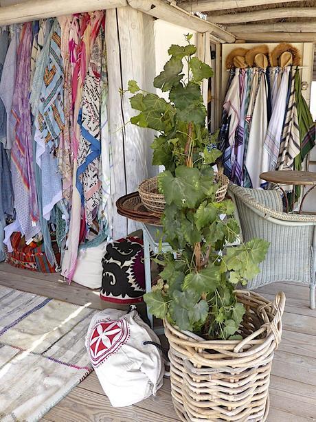 Vacances à Saint Tropez