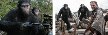 Photo la planète des singes - l'affrontement