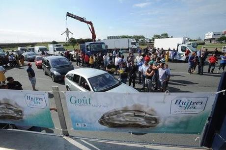 Manifestation des conchyliculteurs de Charente-Maritime qui bloquent le pont de l'île de Ré, le 1...