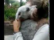 chien tellement content qu’il s’évanouit