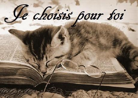 Je Choisis Pour Toi [2]
