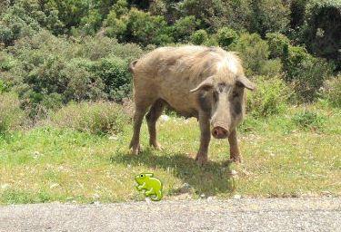 IMAGE DU JOUR: Les aventures de Léon Camay - 46