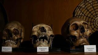 Visiter: Le musée anthropologique du Dr Tourterelle