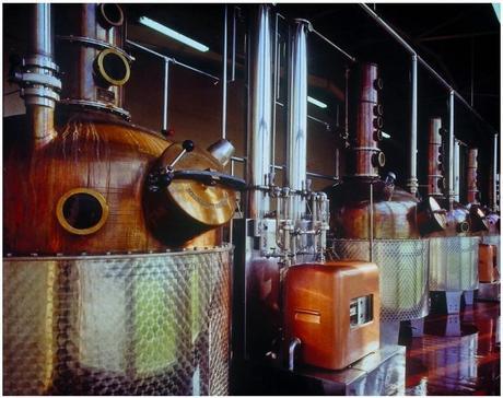 2014 : Une véritable consécration pour la Distillerie Massenez !