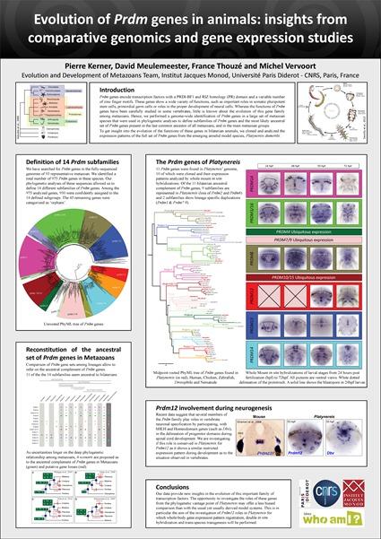 Poster Pierre Kerner - Evolution of Prdm genes in animals: insights from comparative genomics and gene expression studies