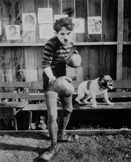 Citation du jour, bonjour !