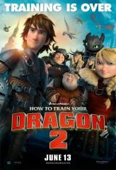 cinema,film,dragons 2
