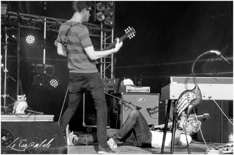 Cosy nest,rock,le funambule,live