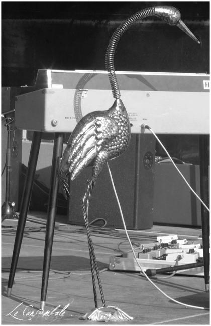 Cosy nest,rock,le funambule,live