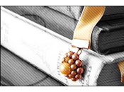 Tuesday choses qu'un livre vous donné envie faire