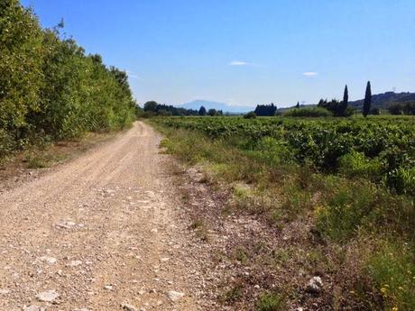 Plein le dos de cette actualité de merde