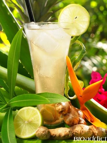 Recette bio : Ginger ale au miel bio