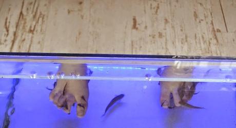 La fish pedicure à Poitiers, c'est à La Baignoire!