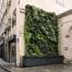 Mur végétalisé à Paris