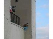 Parc Belleville, Paris