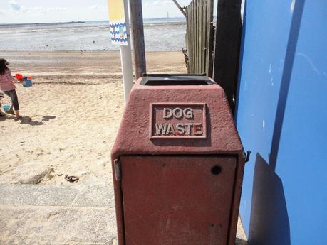 leptitlu chez les rosbifs (7)