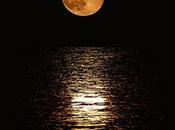 L'essence quelques mots