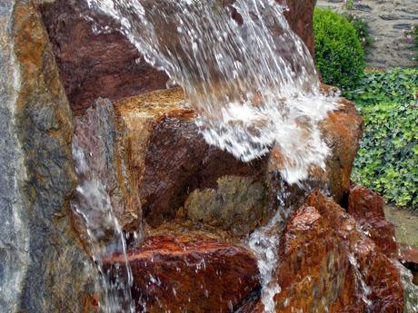 festival photo La Gacilly deuxième service