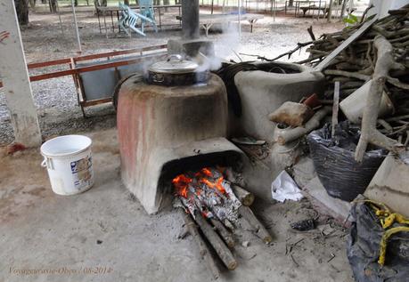 Matin Issan (photos)