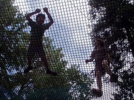 Au plus près des animaux