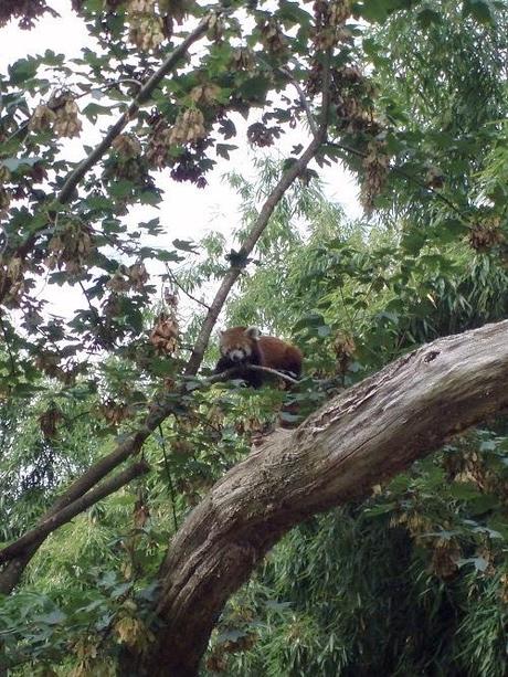 Au plus près des animaux