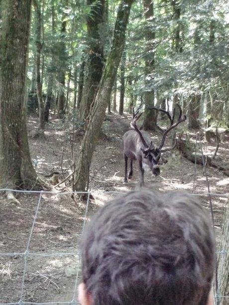 Au plus près des animaux
