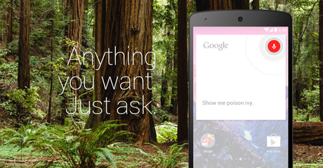 Google Now Launcher disponible sur Android 4.1 ou supérieur