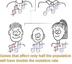 GÉNÉTIQUE: Comment certaines mutations survivent sans envahir le monde – Nature Communications