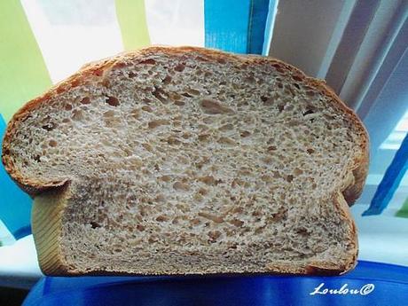 Brioche à la poudre chocolatée