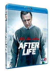 Critique Dvd: After Life