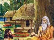 L'essence l'arbre...