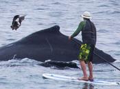 pendant qu'elle écrit, gère....