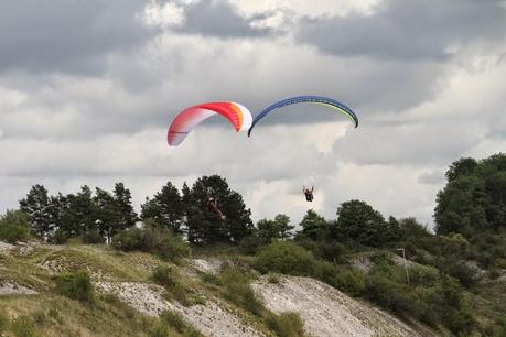 Drôles d'oiseaux dans le ciel de Pagny-la-Blanche-Côte