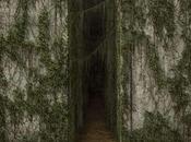 Bande-Annonce: Labyrinthe/ Quand ascenseur vous emporte dans étrange clairière...