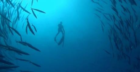 spearfiching legende Spearfishing video : One fish legends