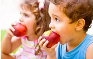 FRUITS et LÉGUMES: Plus on en mange et plus on vit longtemps – BMJ