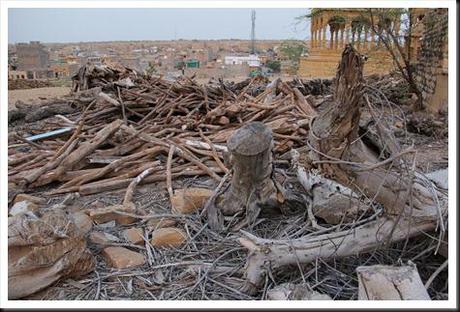 Rajasthan 2ème partie 413