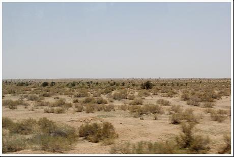 Rajasthan 2ème partie 405