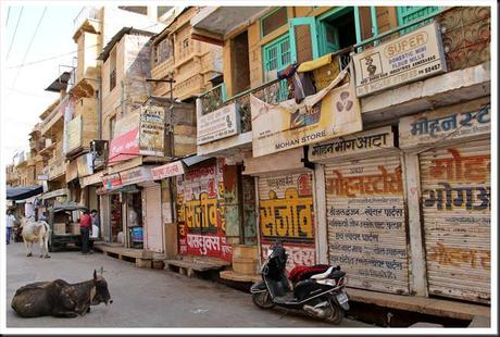 Rajasthan 2ème partie 465